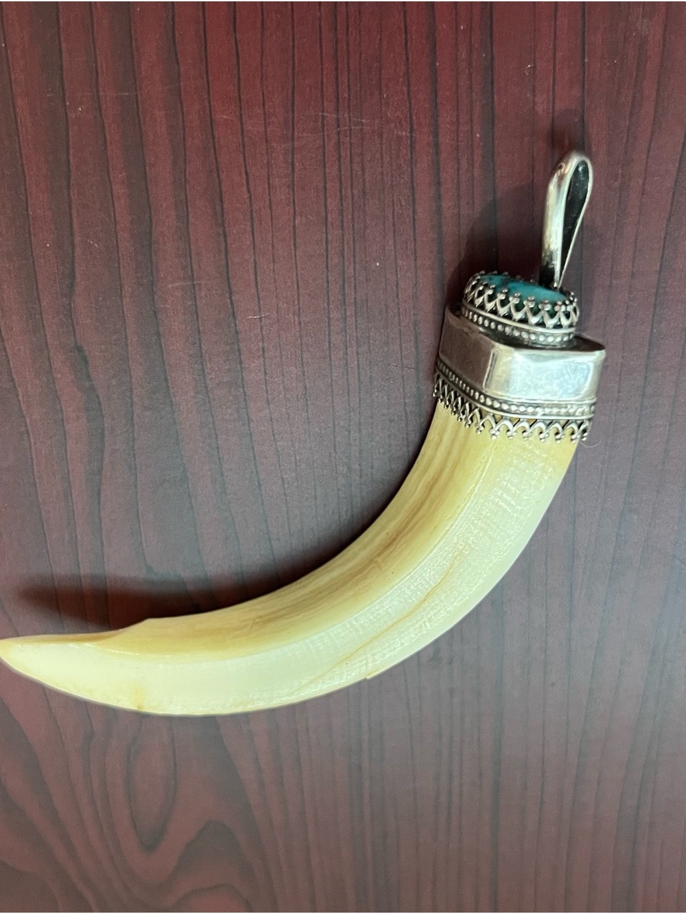 Sterling Silver Real Boar Tusk Pendant Turquoise Tooth Charm